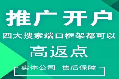 专业SEM托管服务，效果显著的案例展示